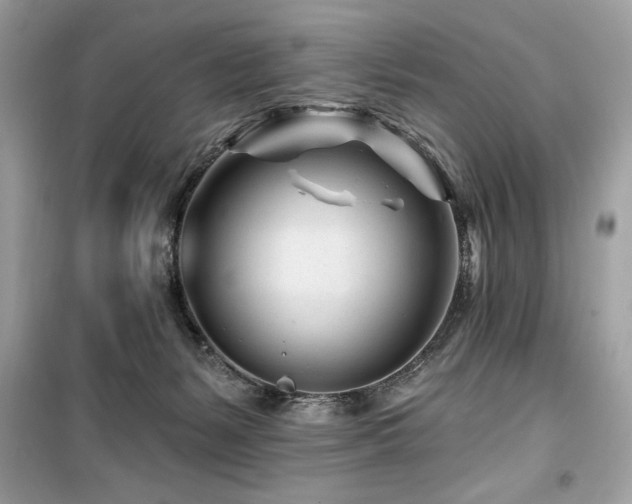 X0000099580127200805161245
