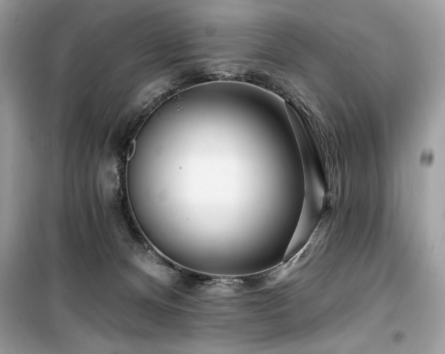 X0000099580128200805161245