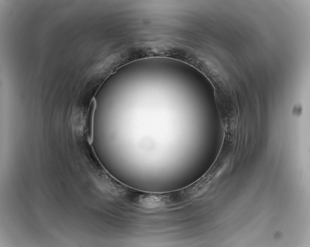 X0000099580129200805161245