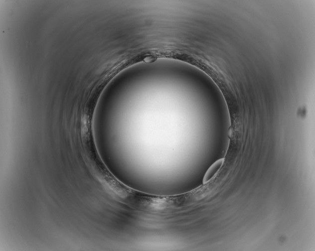 X0000099580130200805161245