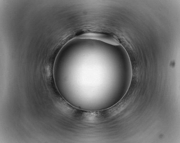 X0000099580131200805161245