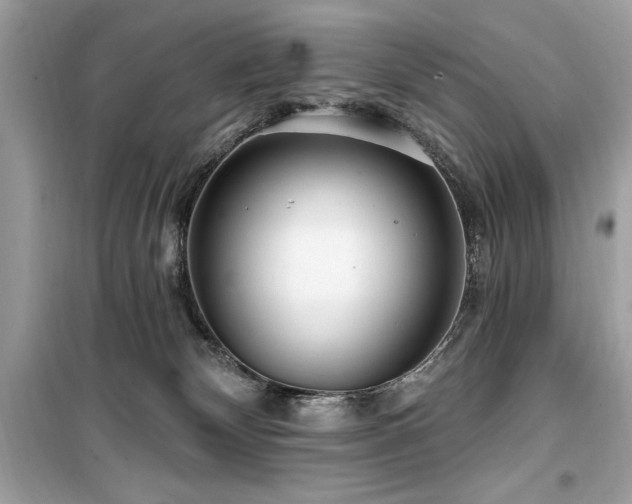 X0000099580132200805161245