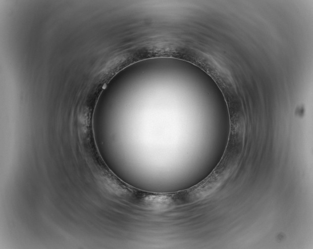 X0000099580133200805161245