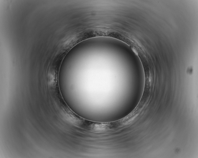 X0000099580134200805161245
