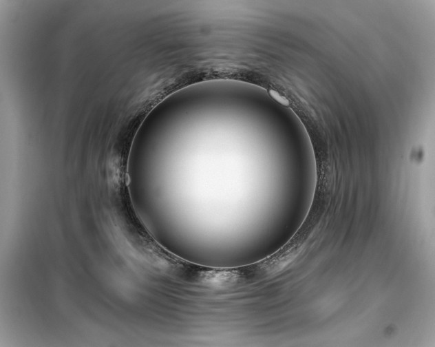 X0000099580135200805161245