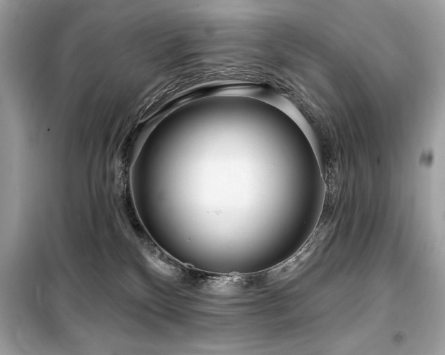 X0000099580136200805161245