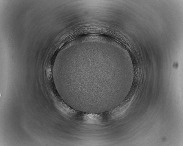 X0000099580137200805161245