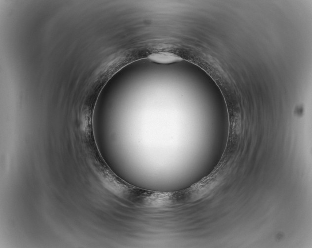 X0000099580138200805161245
