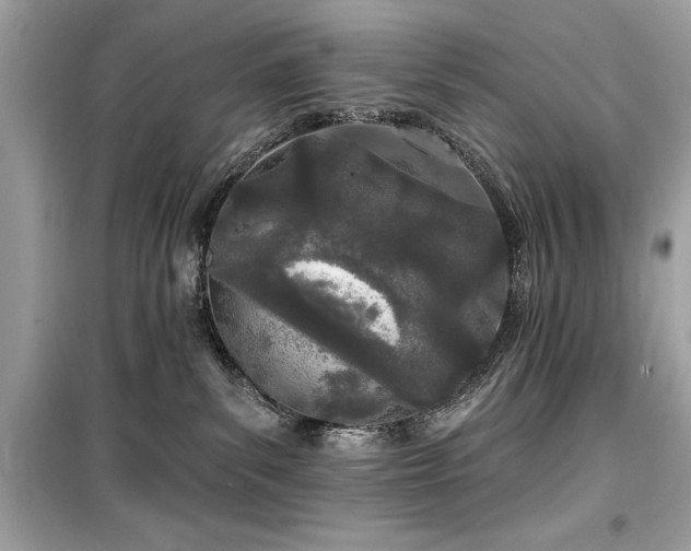X0000099580139200805161245