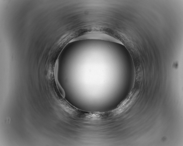 X0000099580140200805161245