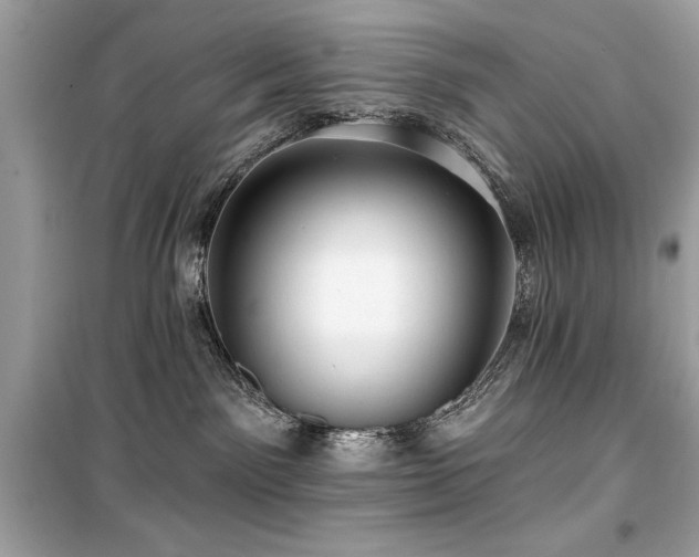 X0000099580141200805161245