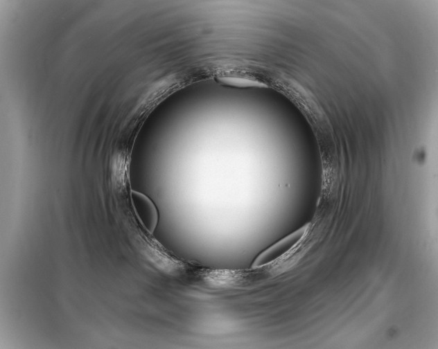 X0000099580142200805161245