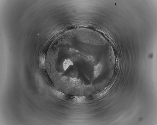 X0000099580143200805161245