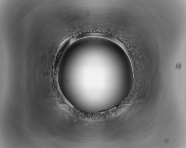 X0000099580144200805161245