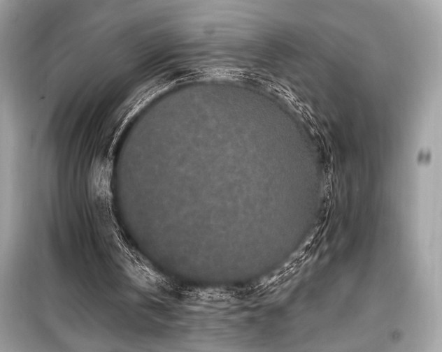 X0000099580146200805161244
