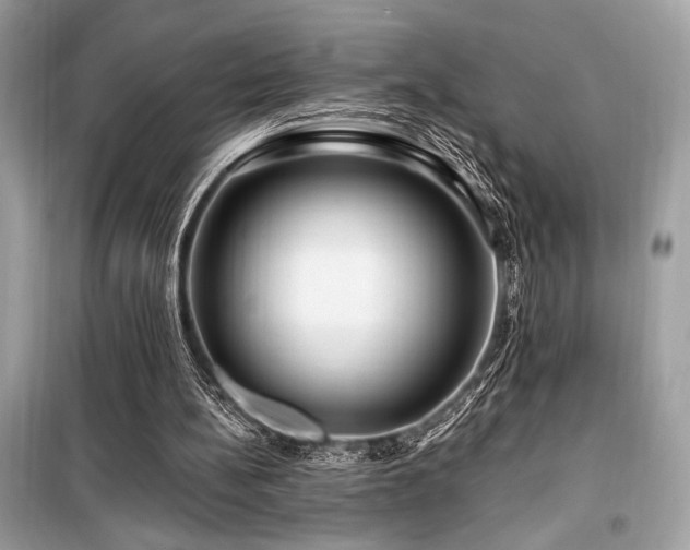 X0000099580148200805161244