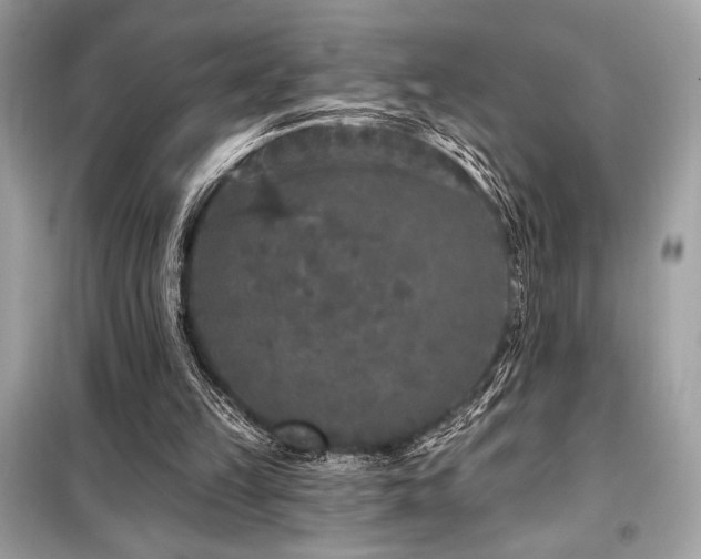 X0000099580149200805161244