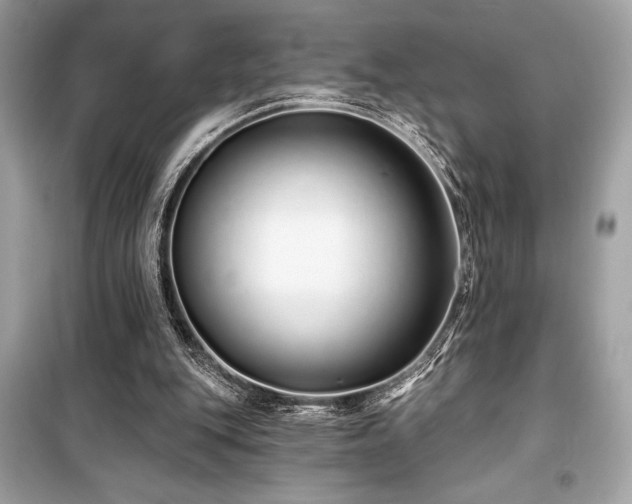 X0000099580151200805161244