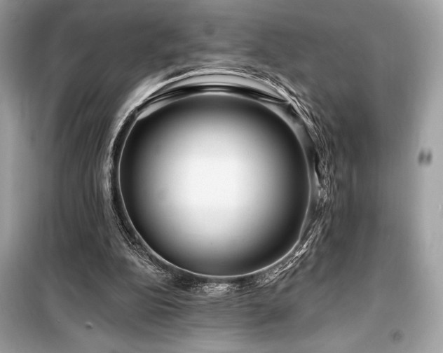 X0000099580152200805161244