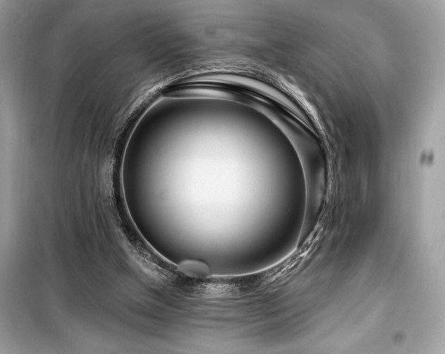 X0000099580154200805161244
