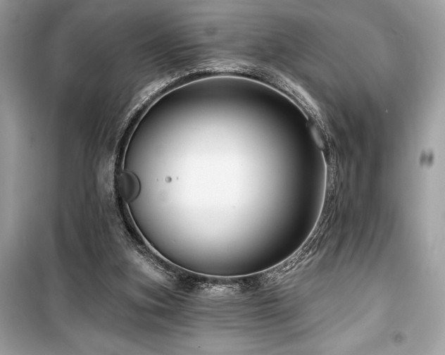 X0000099580155200805161244