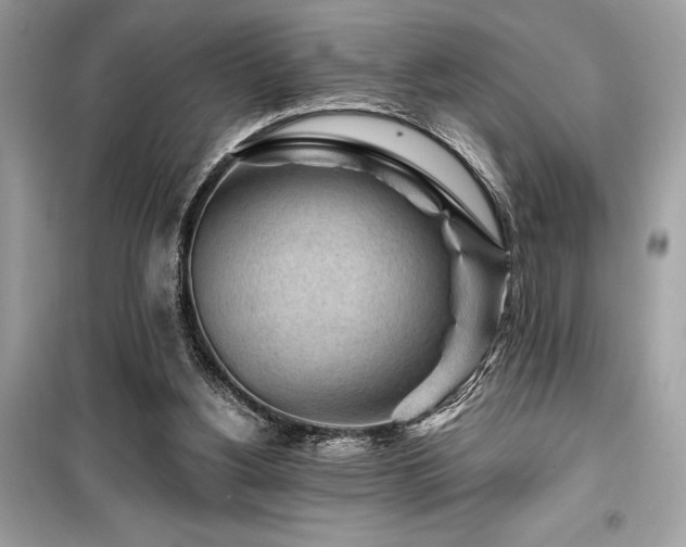 X0000099580156200805161244