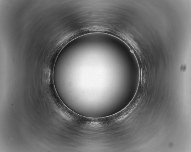 X0000099580157200805161244