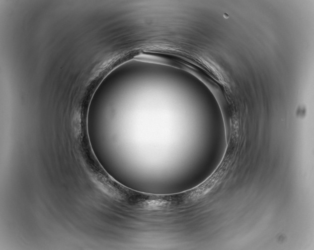 X0000099580158200805161244