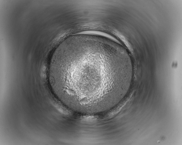 X0000099580161200805161244