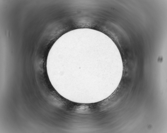 X0000099580162200805161244