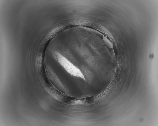 X0000099580163200805161244