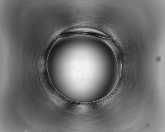X0000099580164200805161244