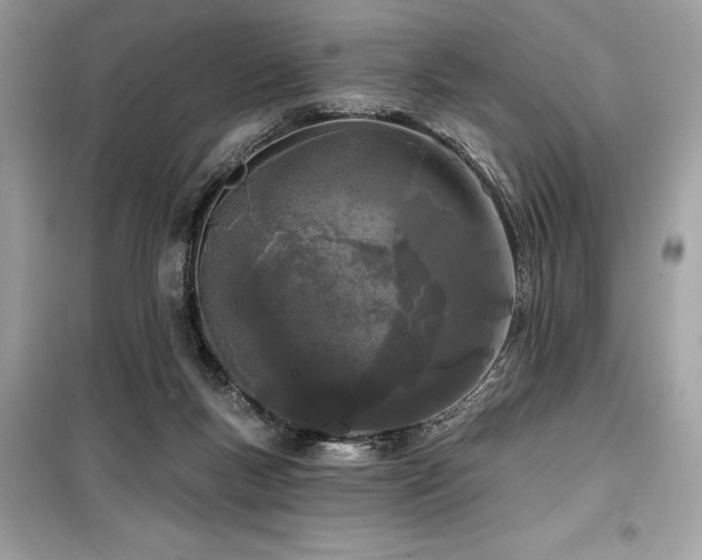 X0000099580167200805161244
