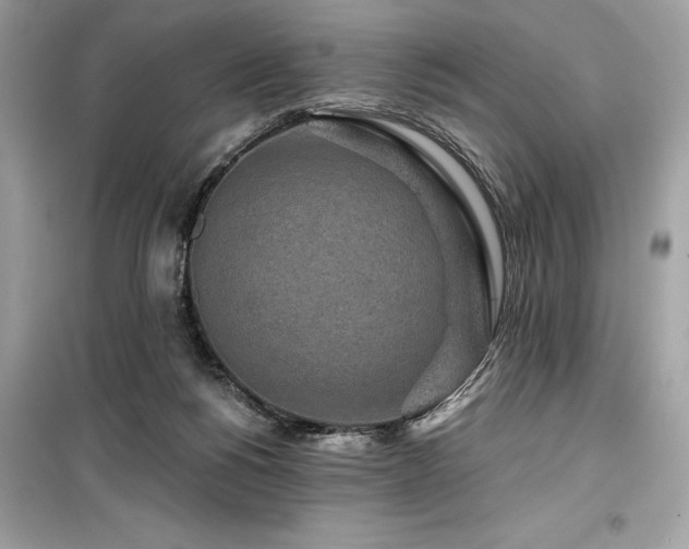 X0000099580168200805161244