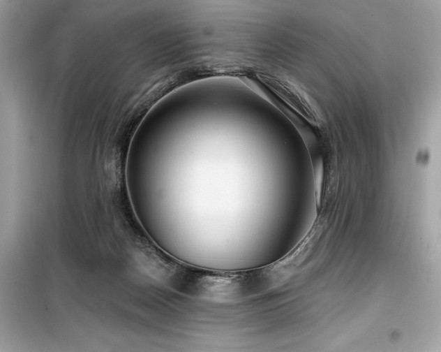 X0000099580170200805161244