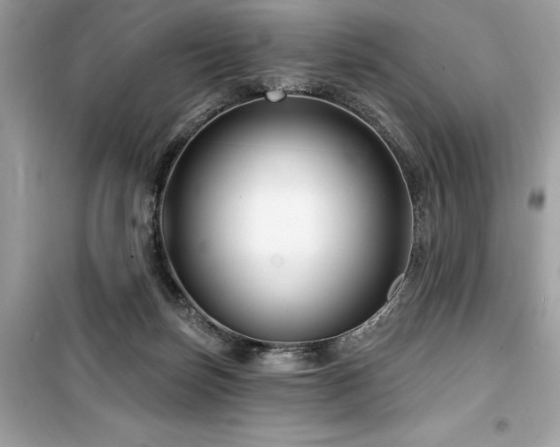 X0000099580171200805161244