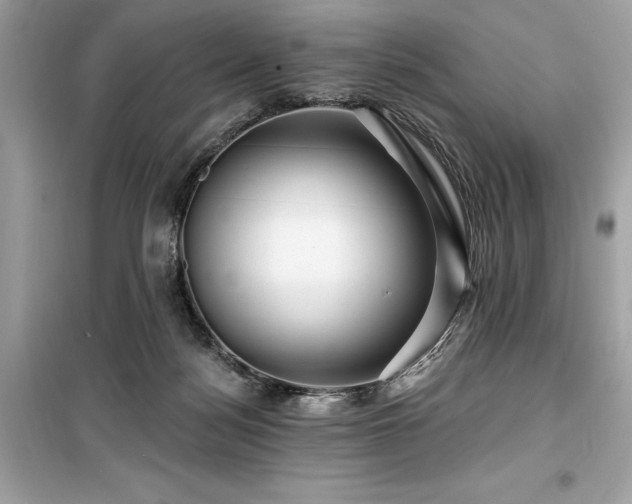 X0000099580172200805161244