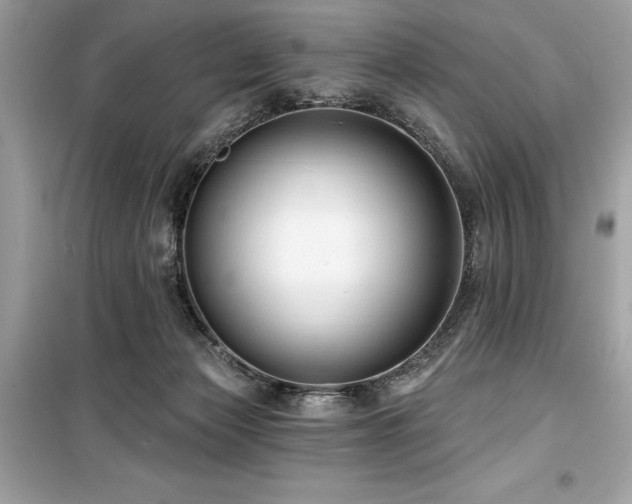 X0000099580173200805161244