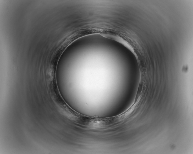 X0000099580174200805161244