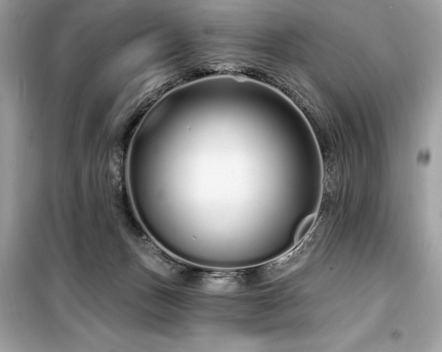 X0000099580175200805161244