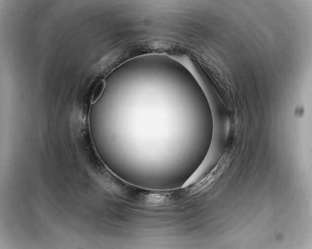 X0000099580176200805161244