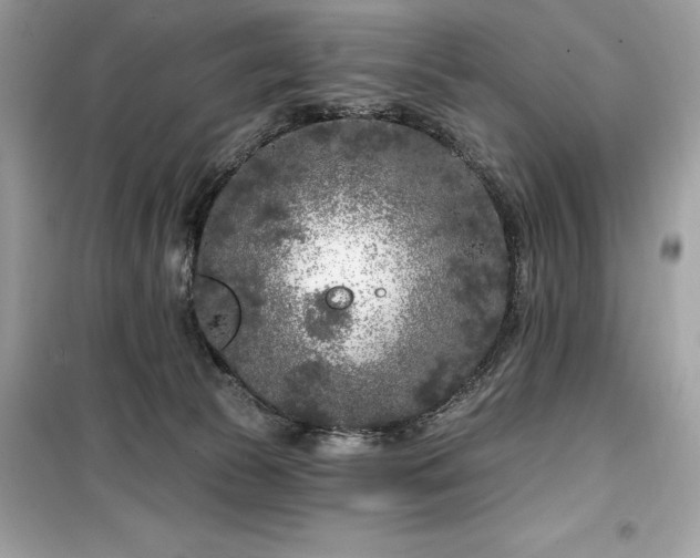 X0000099580177200805161244