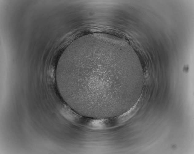X0000099580178200805161244