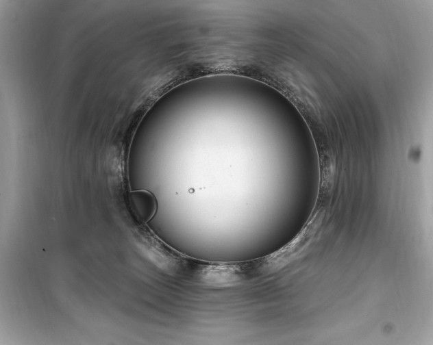 X0000099580179200805161244