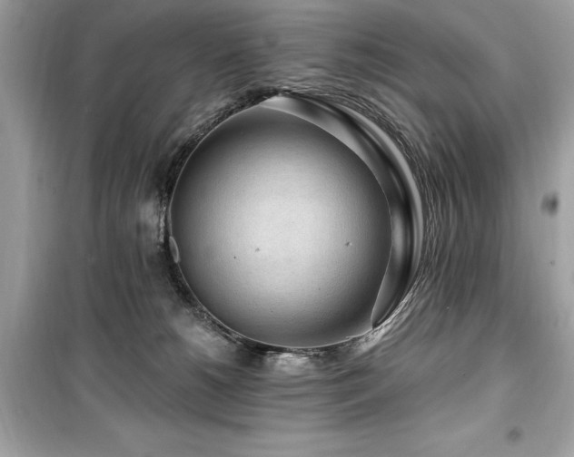 X0000099580180200805161244