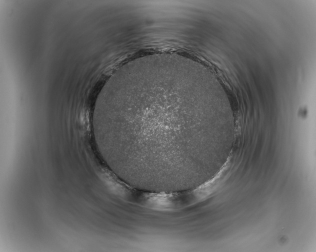 X0000099580182200805161245