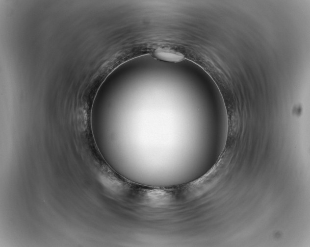 X0000099580183200805161245