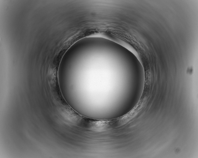 X0000099580184200805161245