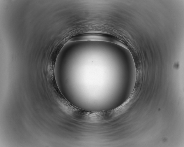 X0000099580186200805161245
