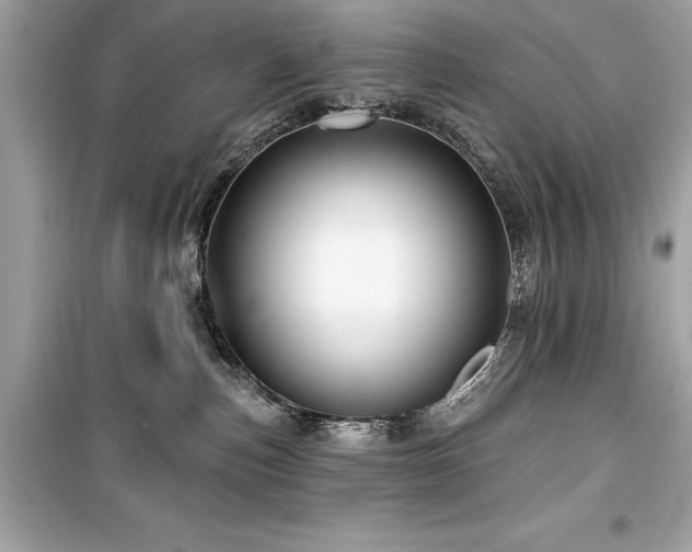 X0000099580187200805161245